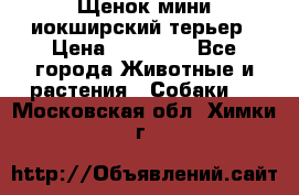 Щенок мини иокширский терьер › Цена ­ 10 000 - Все города Животные и растения » Собаки   . Московская обл.,Химки г.